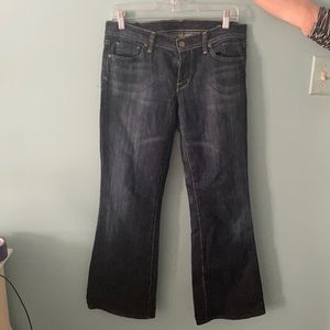 Citizens of Humanity Low Waist Flair Jeans